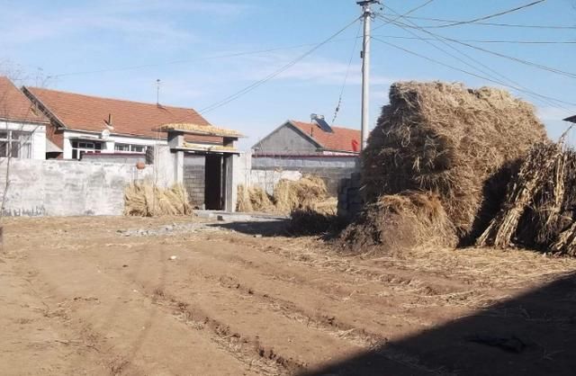 老家拆迁80万，妈把钱全给弟弟，弟弟结婚后她来我家，我气笑了