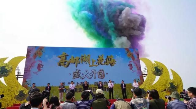 今日，高邮湖郊野公园湖上花海开园啦！