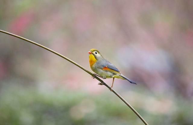 这五件在孩子那儿报应的事真做不得