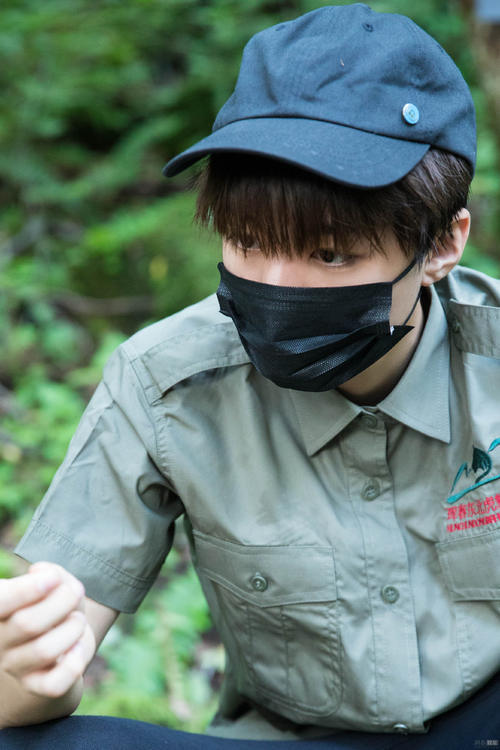 王俊凯为保护东北虎发声 保护濒危野生动物