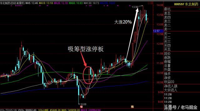 技术科普文：牛股的基本特征和基因表象