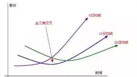 中国股市最赚钱的人：只有这种股票值得散户投资！