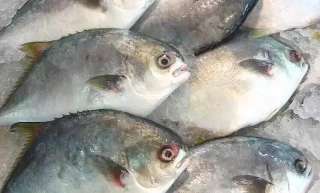 端午过节带啥青岛特产回家?最后一条把父母乐