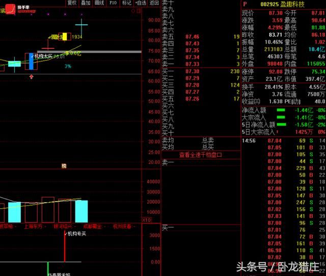 佛山做T掩护猪肉荣8200万出逃，上市第二天惨跌停赵老哥700万抄底