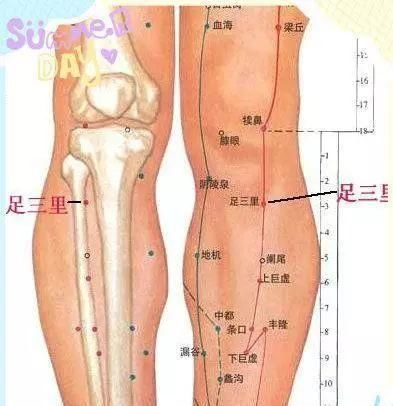 “久坐一族”的水肿腿该如何是好？