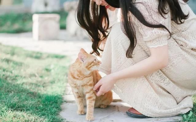 好句子优美句子