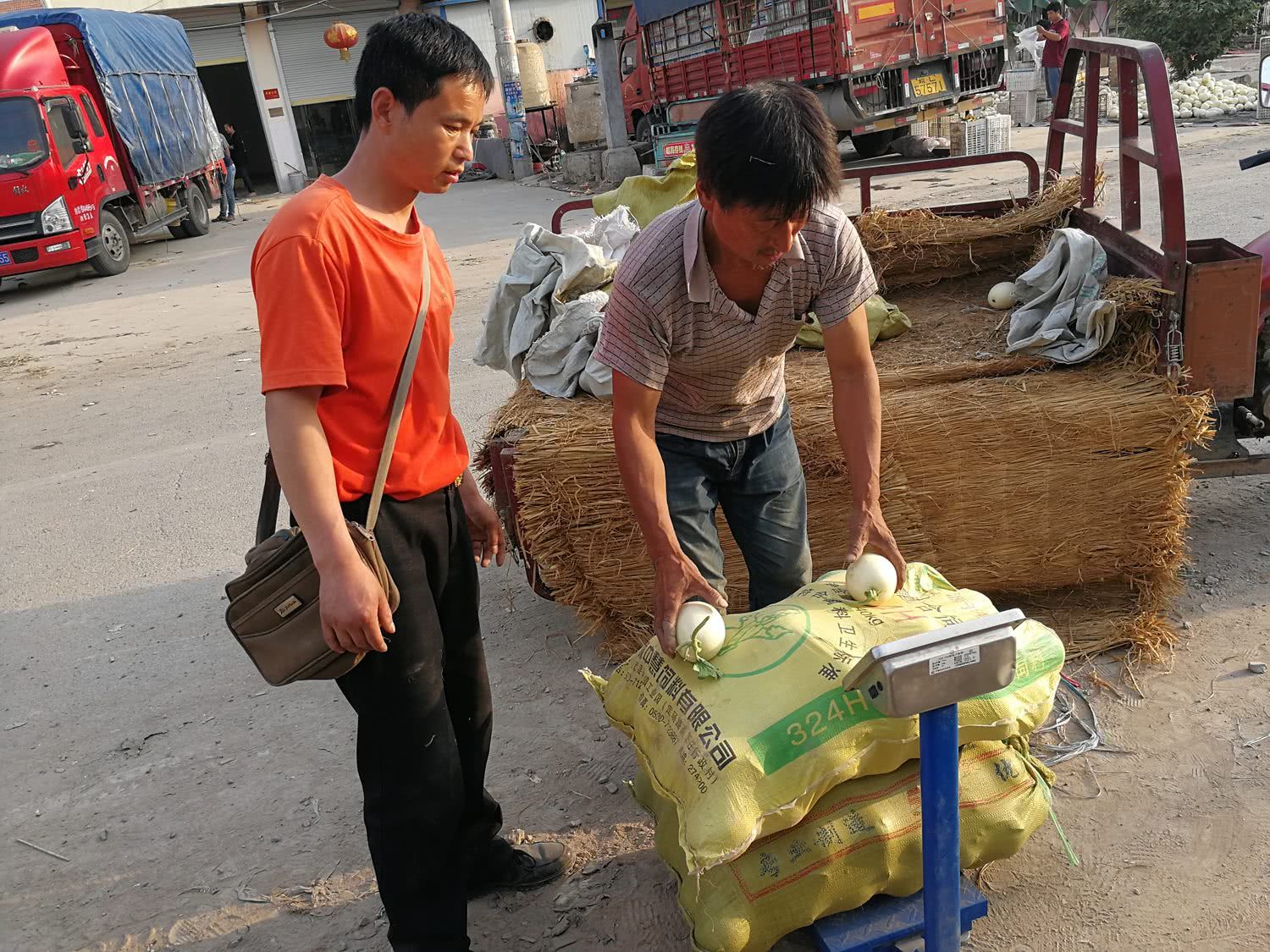卖瓜难,瓜农卖瓜一天跑了六趟,今年种瓜算是白忙活了
