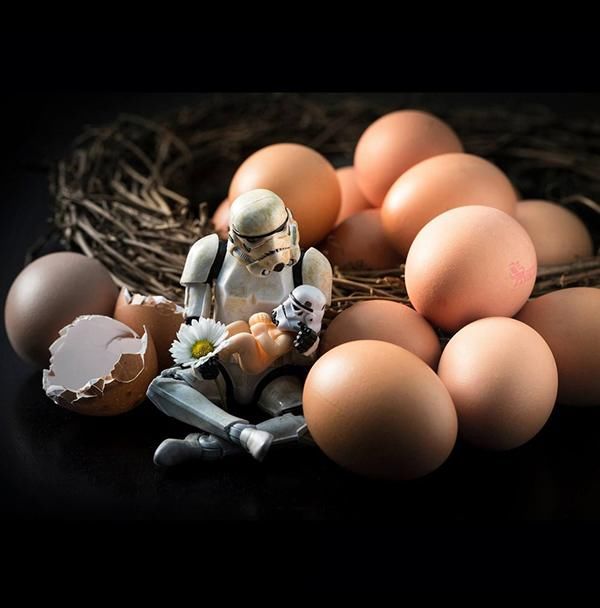 中国人真是“卵生动物”,正史有记载,我们的祖先和帝王确实如此