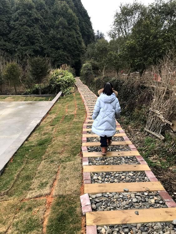 江西靖安县古楠村:一座来了就不想走的纯美村庄