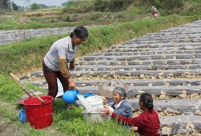 今年开始这几种土地升值后，将会被国家收回