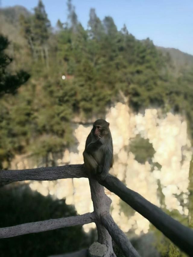 武汉(高铁)去长沙,张家界,凤凰,怀化 3日游路线