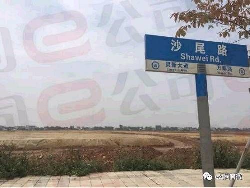 实地探访贾跃亭关联方601亩土地：地处偏僻，开发程度低！