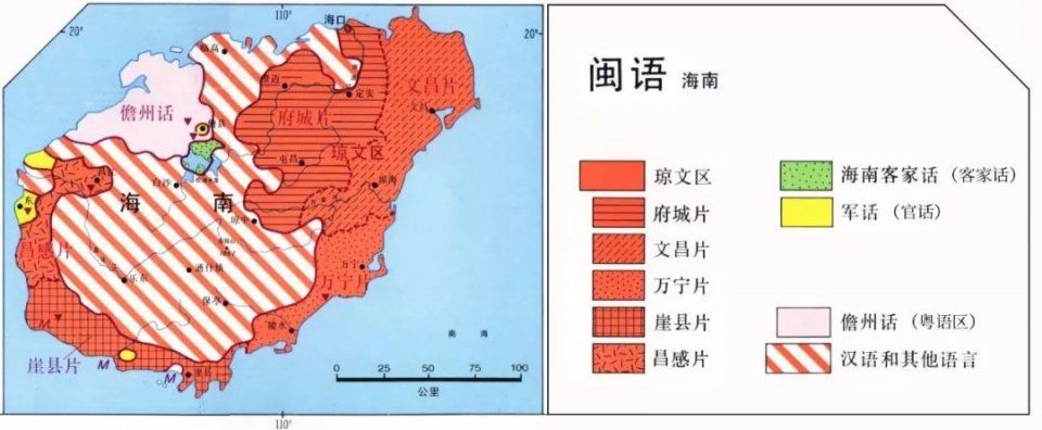 不是东北人选择了海南，而是海南选择了东北人|大象公会