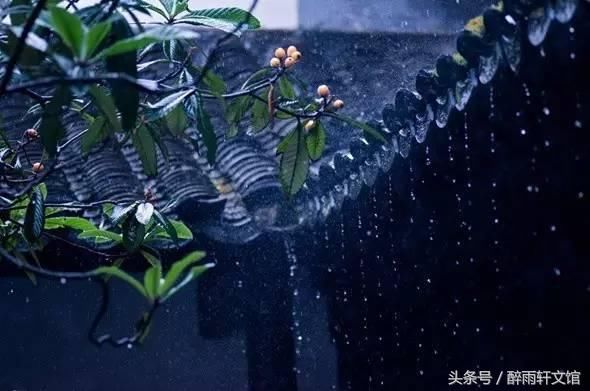 今日雨水，送您10首诗词，最喜欢哪一句？邀你斗诗