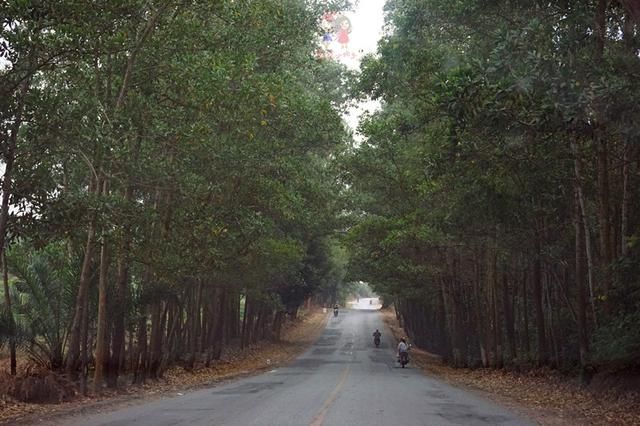 别再只盯着三亚了！海南还有随便捡鱼的海滩和野果满树的古村！