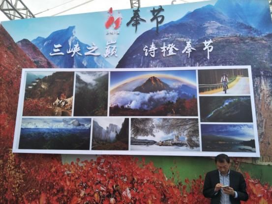 邀你追逐诗和远方 奉节热推“三峡之巅 诗橙奉节”旅游品牌