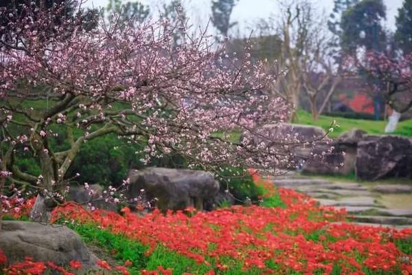 叶开对话《生活周刊》:最美的语文在哪里?