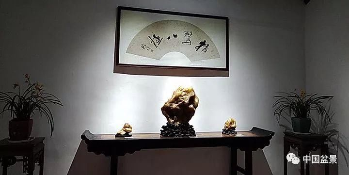 广东茂名滨海新区新春盆景奇石展备受称赞