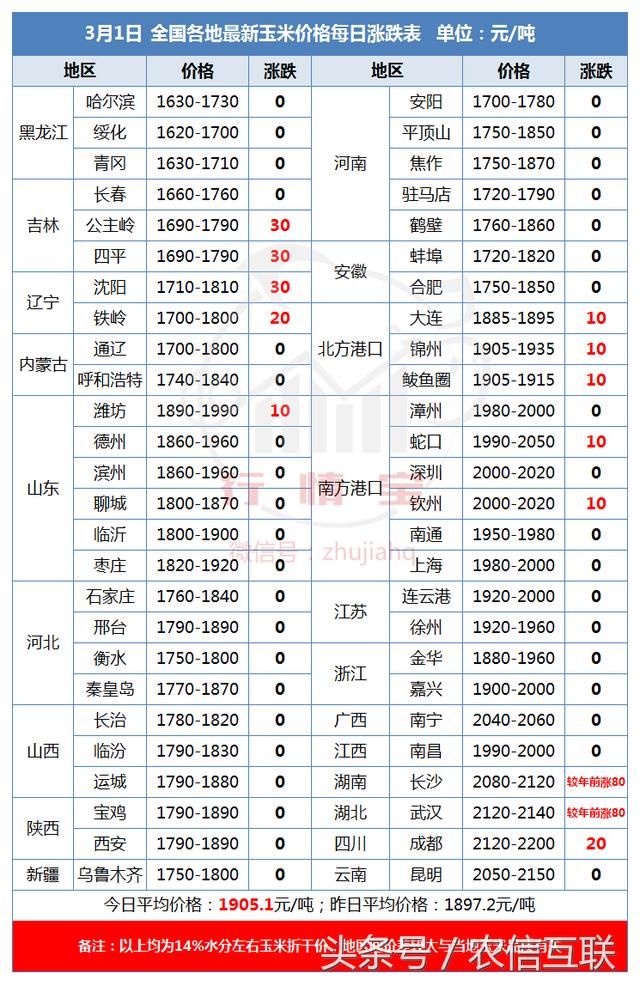 全国玉米价格普涨！补贴政策再度出台，玉米还得涨？