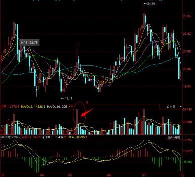 郑州一女教授说破股市：成交量黄金口诀，句句实用，堪称金玉良言