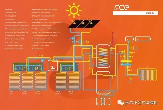 何为立体绿化？竟然成为高大上的标志，当今立体绿化工程的发展