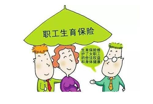 社保指的是什么