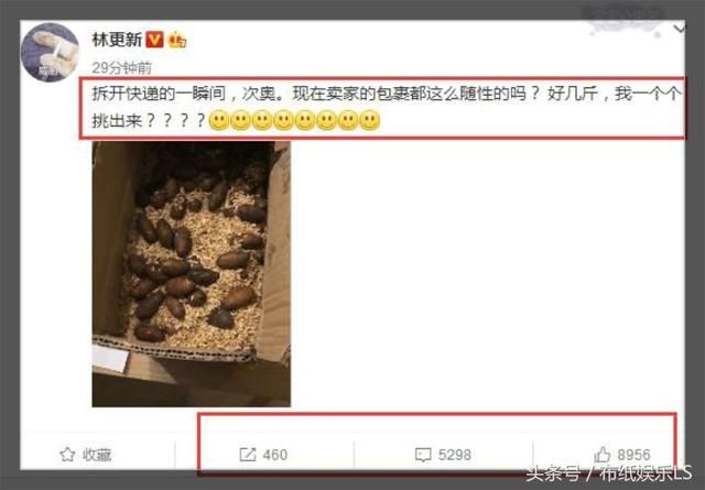 王鸥网购被骗怒发微博，网友：这坑水太深，老司机也翻车！