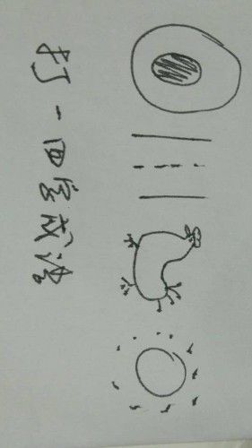 位,狗吃饭也有专门的位置,主人真的平等对待啊