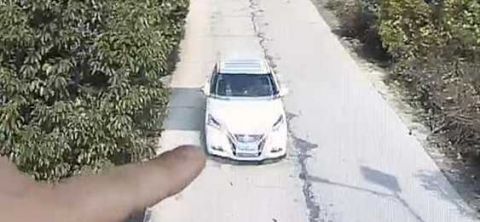 男子随手拍照 竟拍到进自家偷东西的小贼正脸