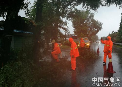 专家解析今年台风特点成因,9月预计还有两三个