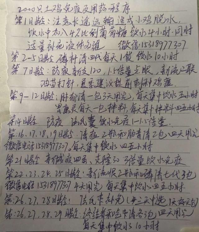 养鸡过程中为什么有的人养鸡挣钱发财，而有的人赔钱啊！