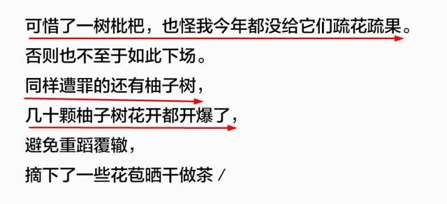 90后农村女孩，靠美食获粉2000万，每个视频都是我们向往的生活