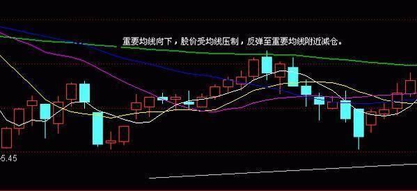 中国股市进入“暴利时代”，主力机构全部阵亡，股民已割肉退市！