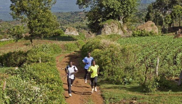 作为跑步新手, 管什么标准的跑姿!