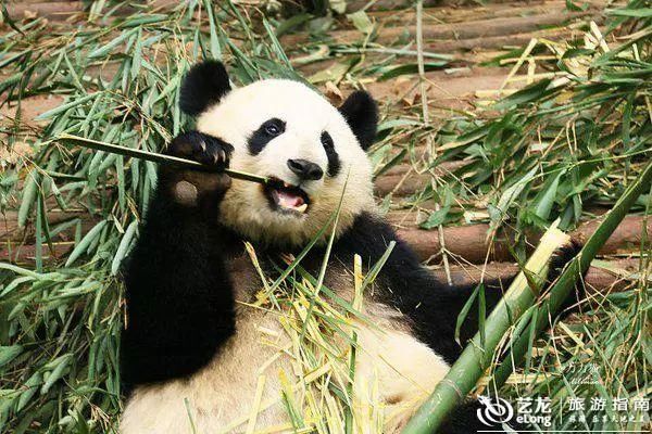 有的时候,就想一个人走走