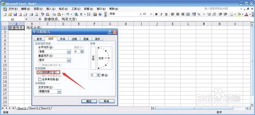 #过年#excel单元格内按回车键没有换行怎么办