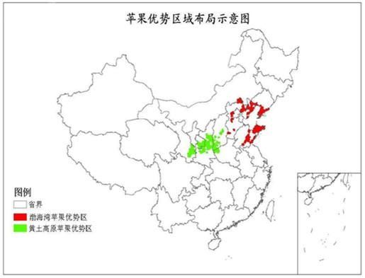 苹果期货离果农有多远？