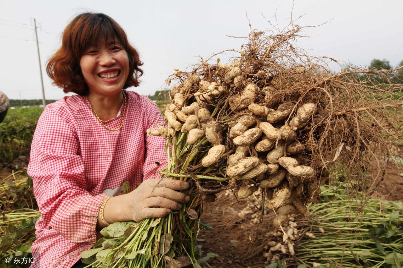 我认为设立中国农民丰收节有意义