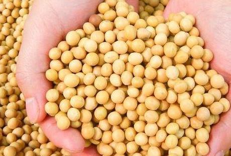 想瘦身的人晚餐吃什么?建议:不能不吃饭,合理