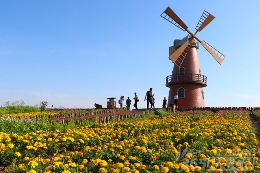 2018年母亲节合肥周边免费旅游景点推荐 适合5月游玩的八大景点推