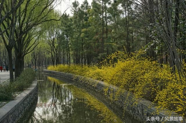 春色满园关不住：洛阳隋唐植物园