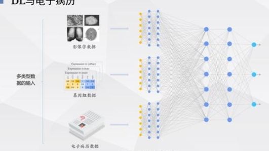 编程学有没有用