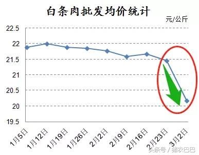 全国猪价趋于稳定，养猪户们的涨价之梦很遥远！