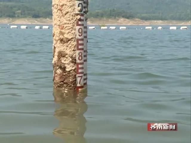 水库告急！蓄水量不足 苍南出现供水紧张