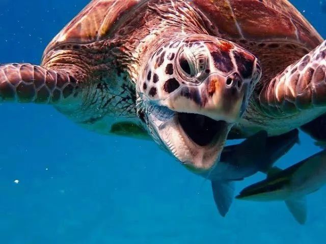 下一个假期去哪?推荐5个海岛给你，人均只要3k