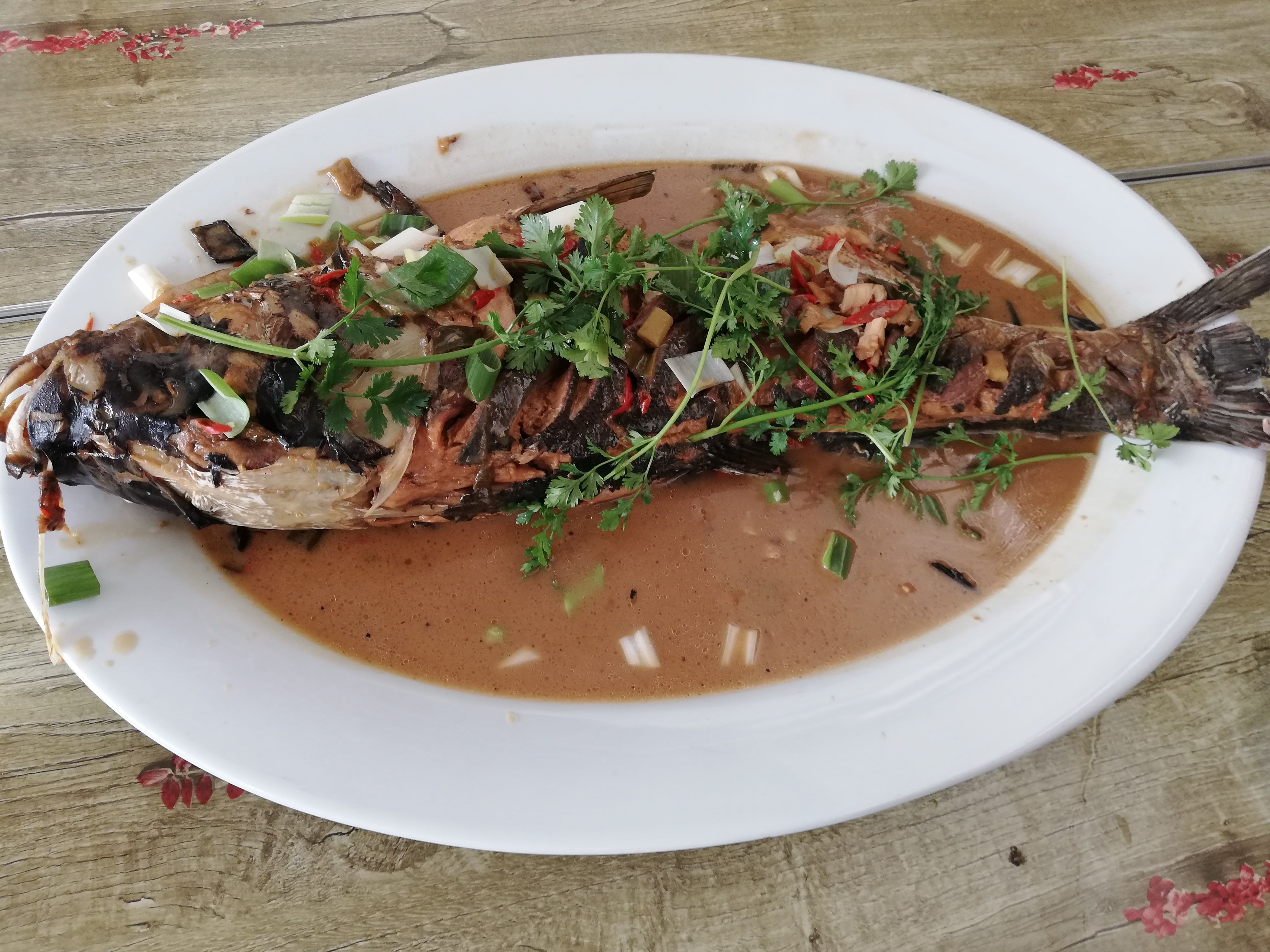 五一小长假带上父母去农家乐,赏风景品美食,这样的旅行才够完整