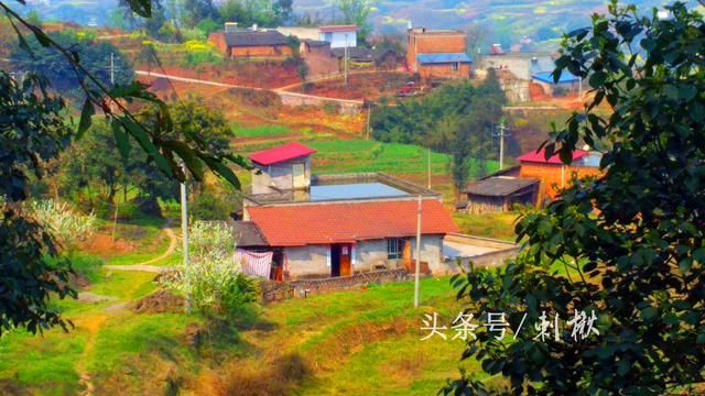 农村分户要求有住房，而申请宅基地又必先分户，这个死结如何解开