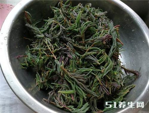 胶东农村一种植物,人称为救命菜,三伏天包饺