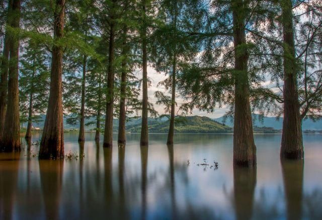 浙江隐藏的7条如诗如画的绝美“天路”你去过几条？