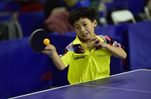 北京市第十一届和谐杯乒乓球比赛总决赛